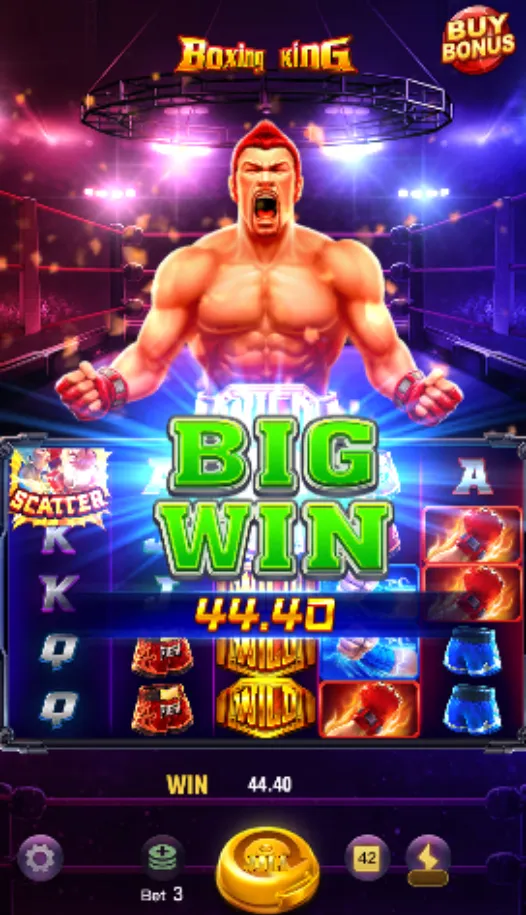 拳王Boxing King